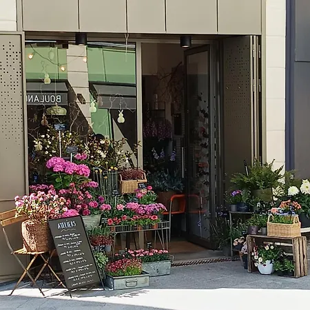 T5 Hyper Center Lumineux Et Cosy Sceaux (Hauts-de-Seine)